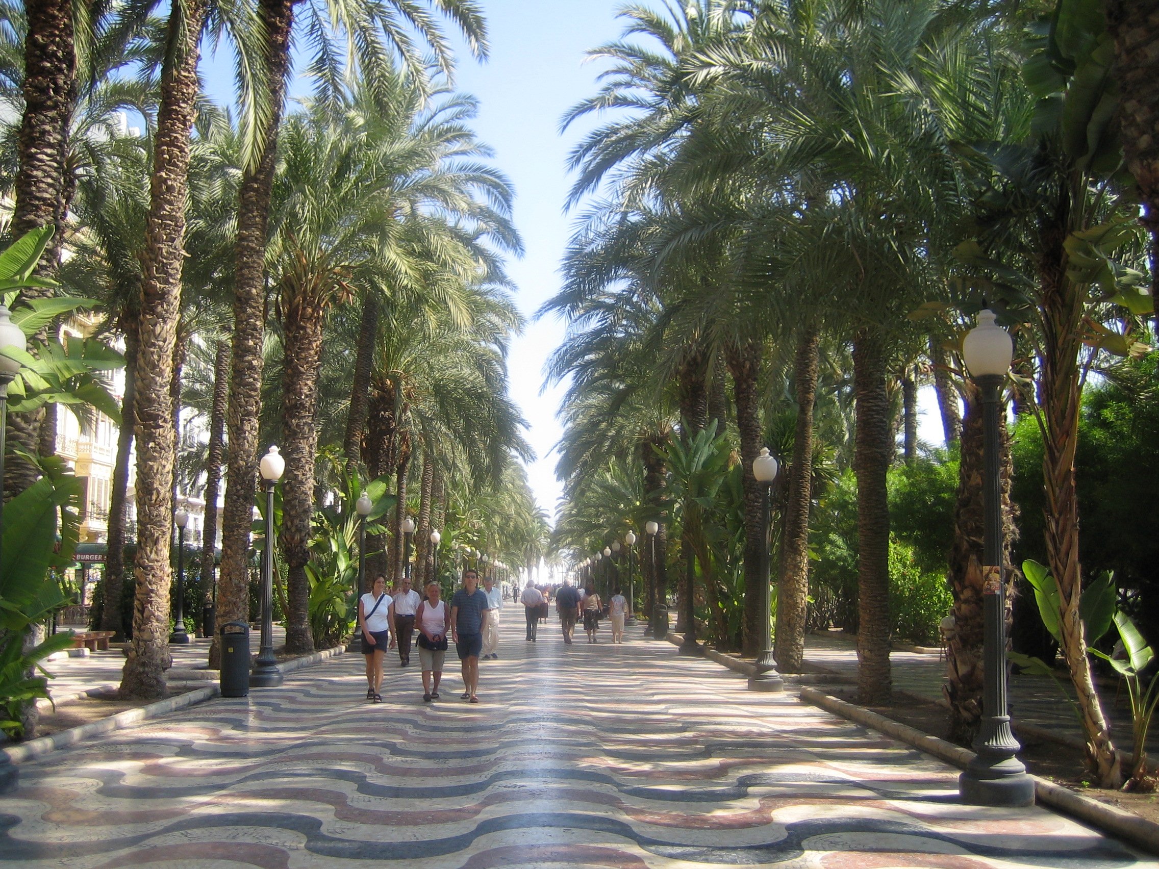 alicante1.jpg