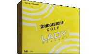 lady-precept-main-3.jpg