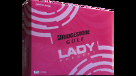 lady-precept-main-2.jpg